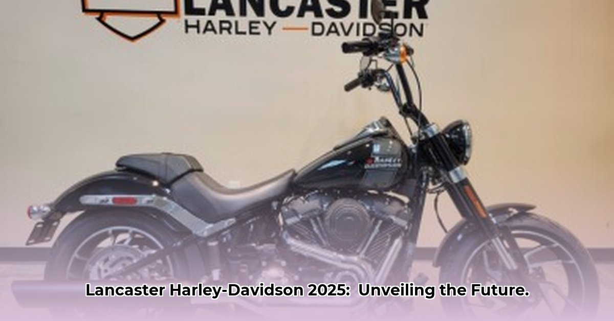 lancaster-harley-davidson-inc